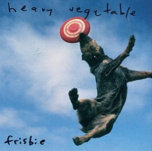 Heavy Vegetable frisbie